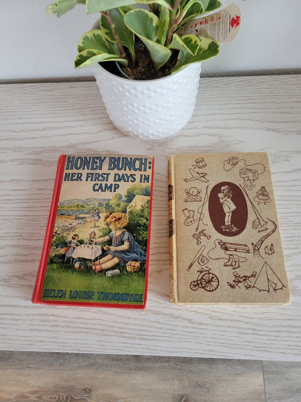 2 Vintage Honey Bunch Childrens Books Grosset Dunlap Days in Camp Island 1925
